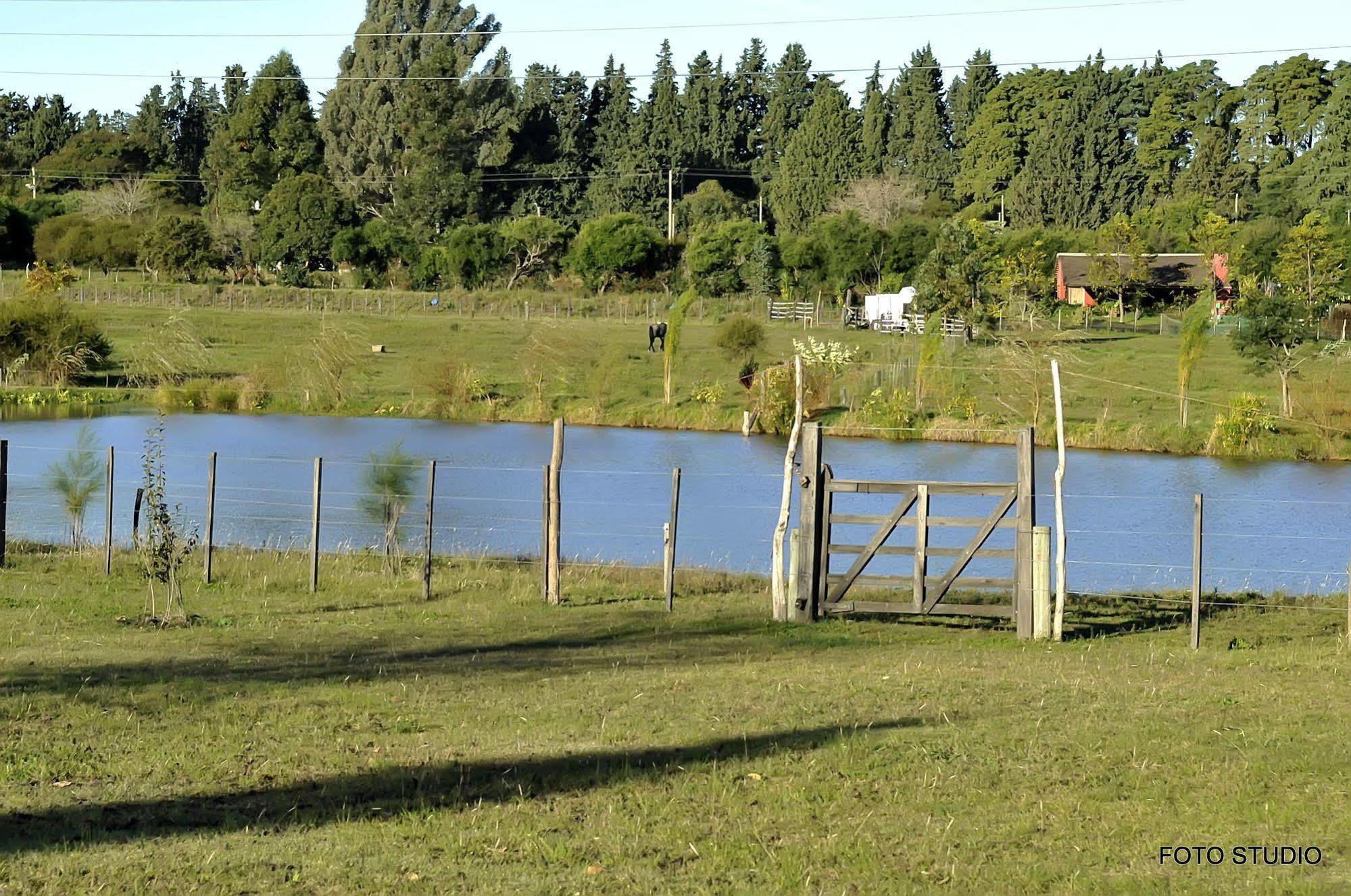 Hotel La Castellana Paysandú Exteriér fotografie